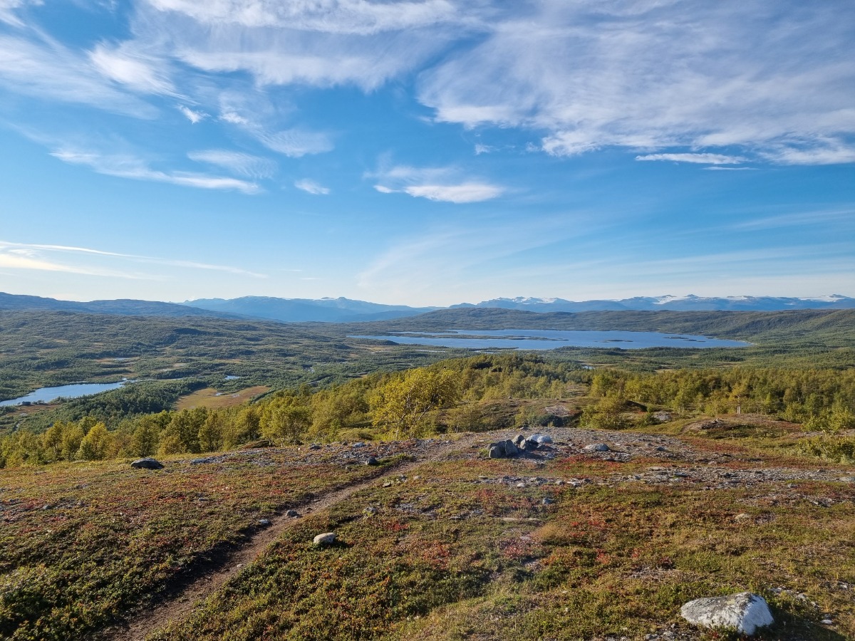 Lappfjelltjønna