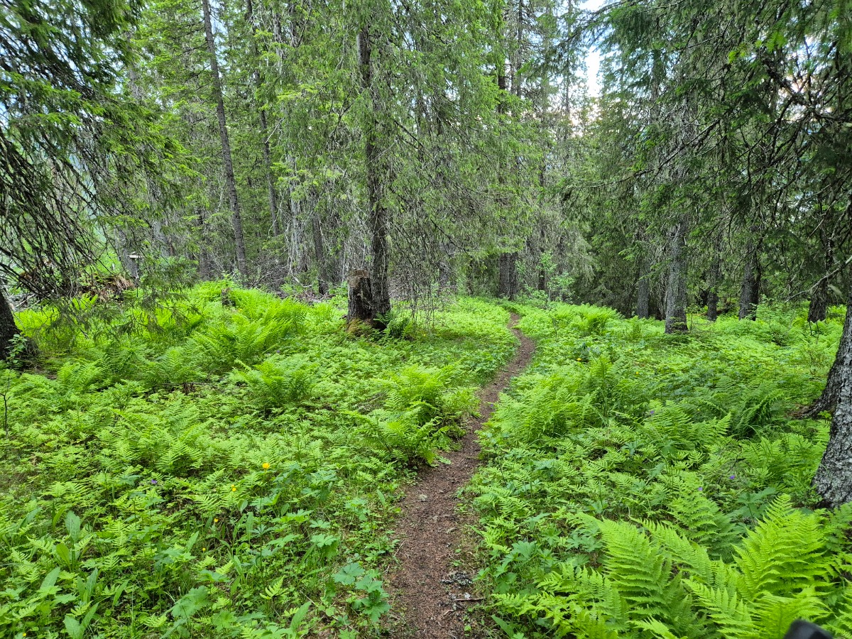 Yttrafjellet Deluxe